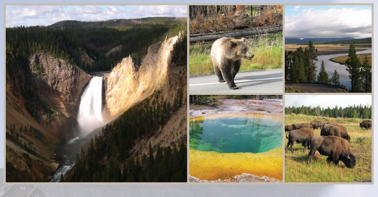 Yellowstone photos